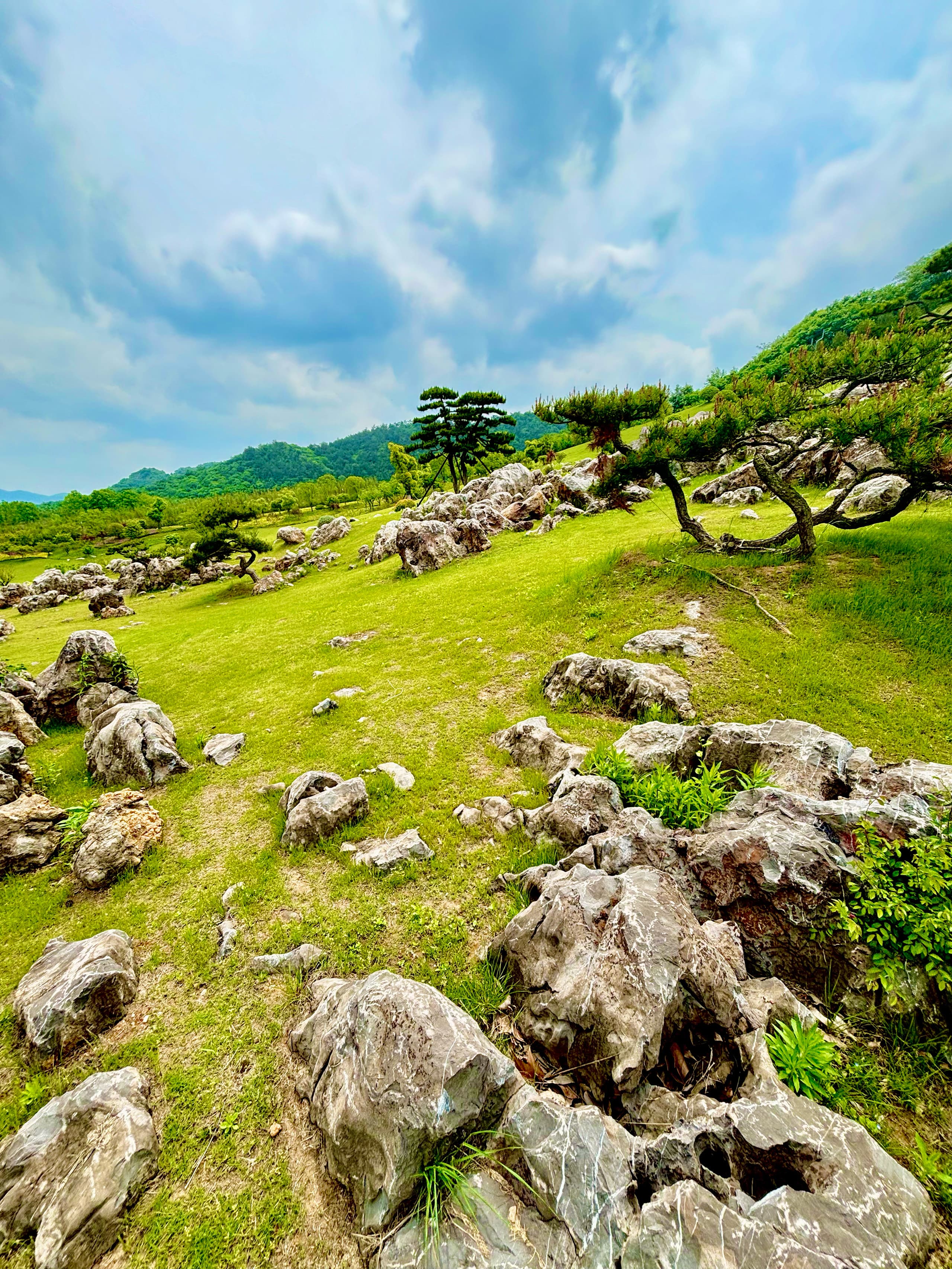 Jiangsu.Garden.Expo.Park.10.jpg