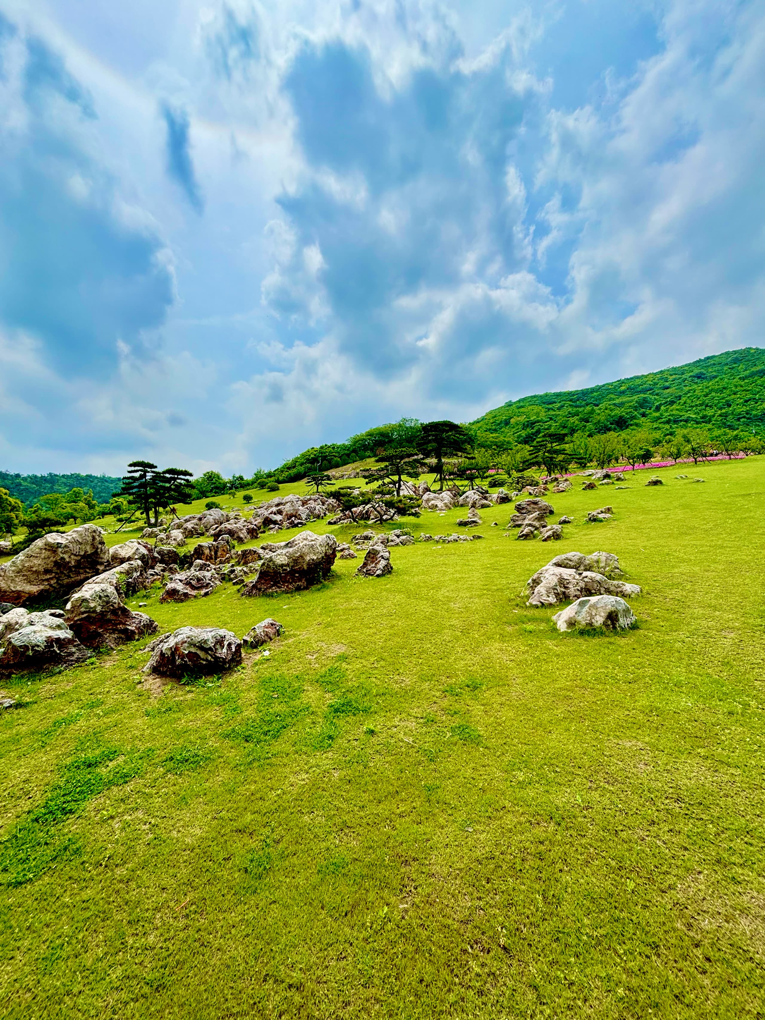 Jiangsu.Garden.Expo.Park.11.jpg